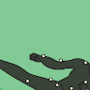 Meet your Posher, Paula